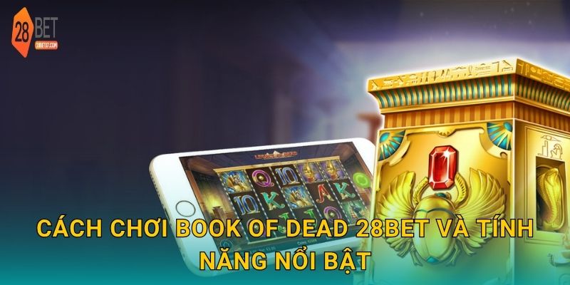 Cách chơi Book of Dead 28bet và tính năng nổi bật