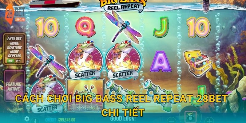Cách chơi Big Bass Reel Repeat 28bet chi tiết