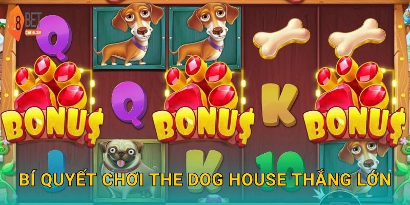 Bí quyết chơi The Dog House thắng lớn