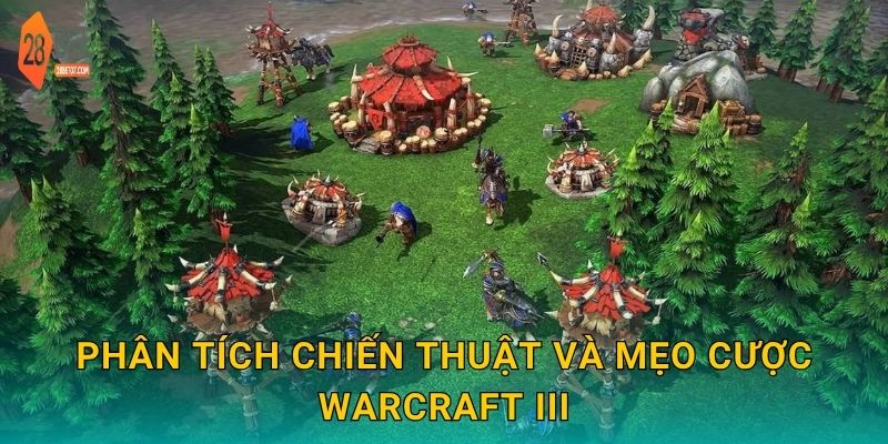 Phân tích chiến thuật và mẹo cược Warcraft III